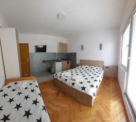 Visni Guest house *
