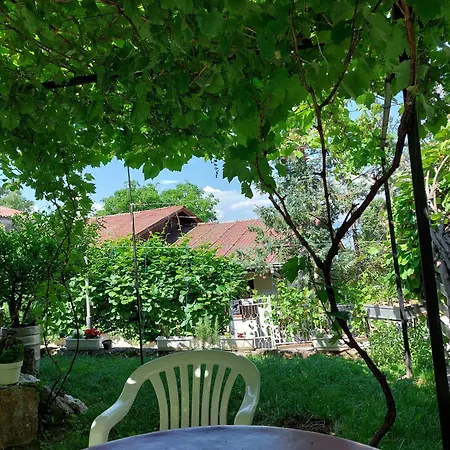 Visni Guest house